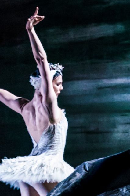 ROYAL BALLET & OPERA - Saison 2025/2026